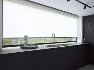 Clean Lines for Clean Interiors Horizontal Roller Blinds