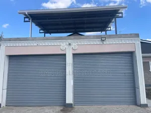 Title: Electric Commercial Shutter Door
Description: