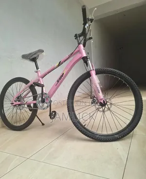 Red, Blue, Grey & Pink BMX Size 24 Bicycle – Gn