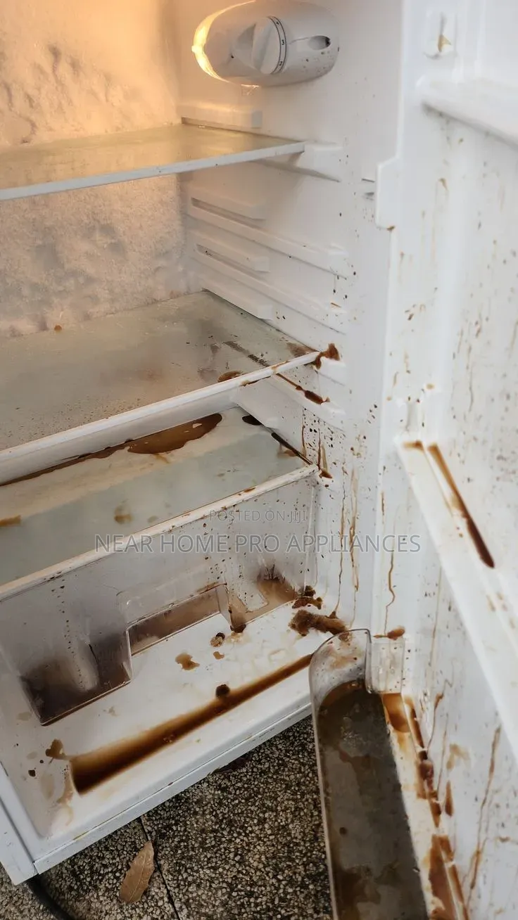 Fridge Repair