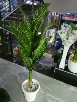ARTIFICIAL PLANT COMPLETE SET — From KSH 3,500 - Gw