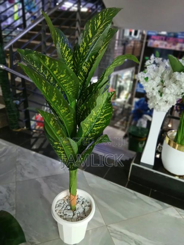 ARTIFICIAL PLANT COMPLETE SET — From KSH 3,500 - Gw - main view