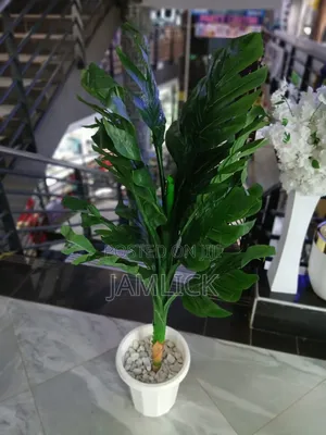 ARTIFICIAL PLANT COMPLETE SET — From KSH 3,500 - Gw