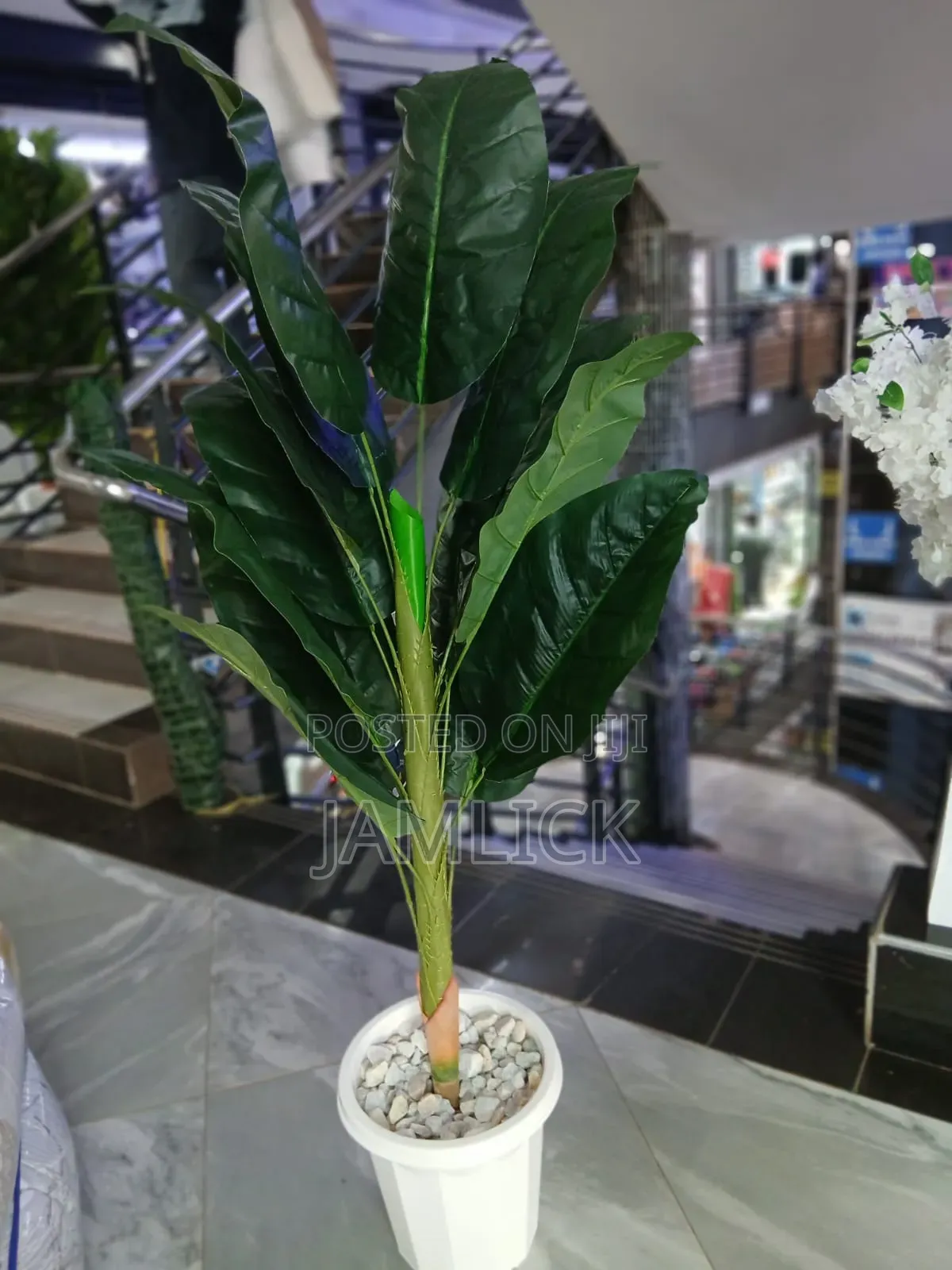 ARTIFICIAL PLANT COMPLETE SET — From KSH 3,500 - Gw