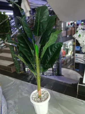 ARTIFICIAL PLANT COMPLETE SET — From KSH 3,500 - Gw