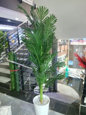 ARTIFICIAL PLANT COMPLETE SET — From KSH 3,500 - Gw