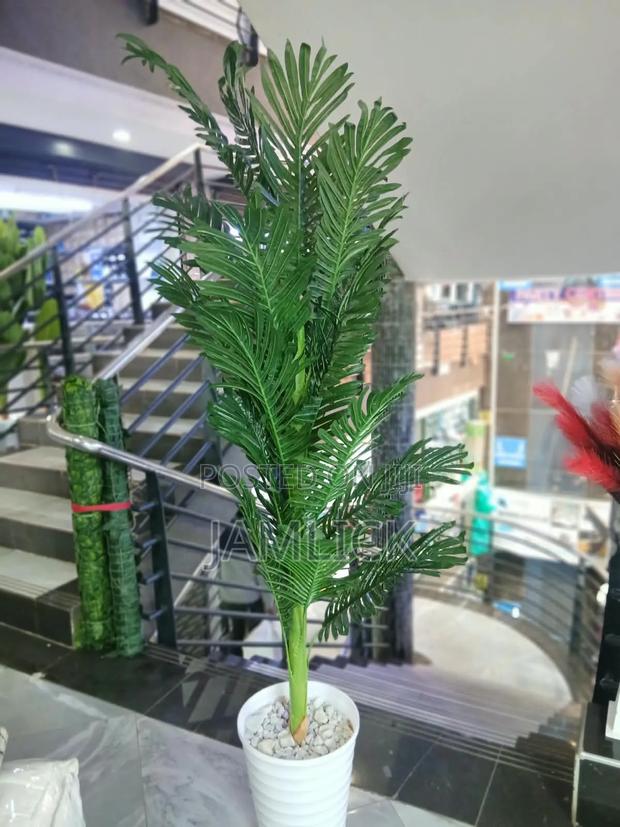 ARTIFICIAL PLANT COMPLETE SET — From KSH 3,500 - Gw - thumbnail 5
