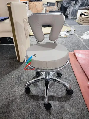 White Silver Adjustable Stool
