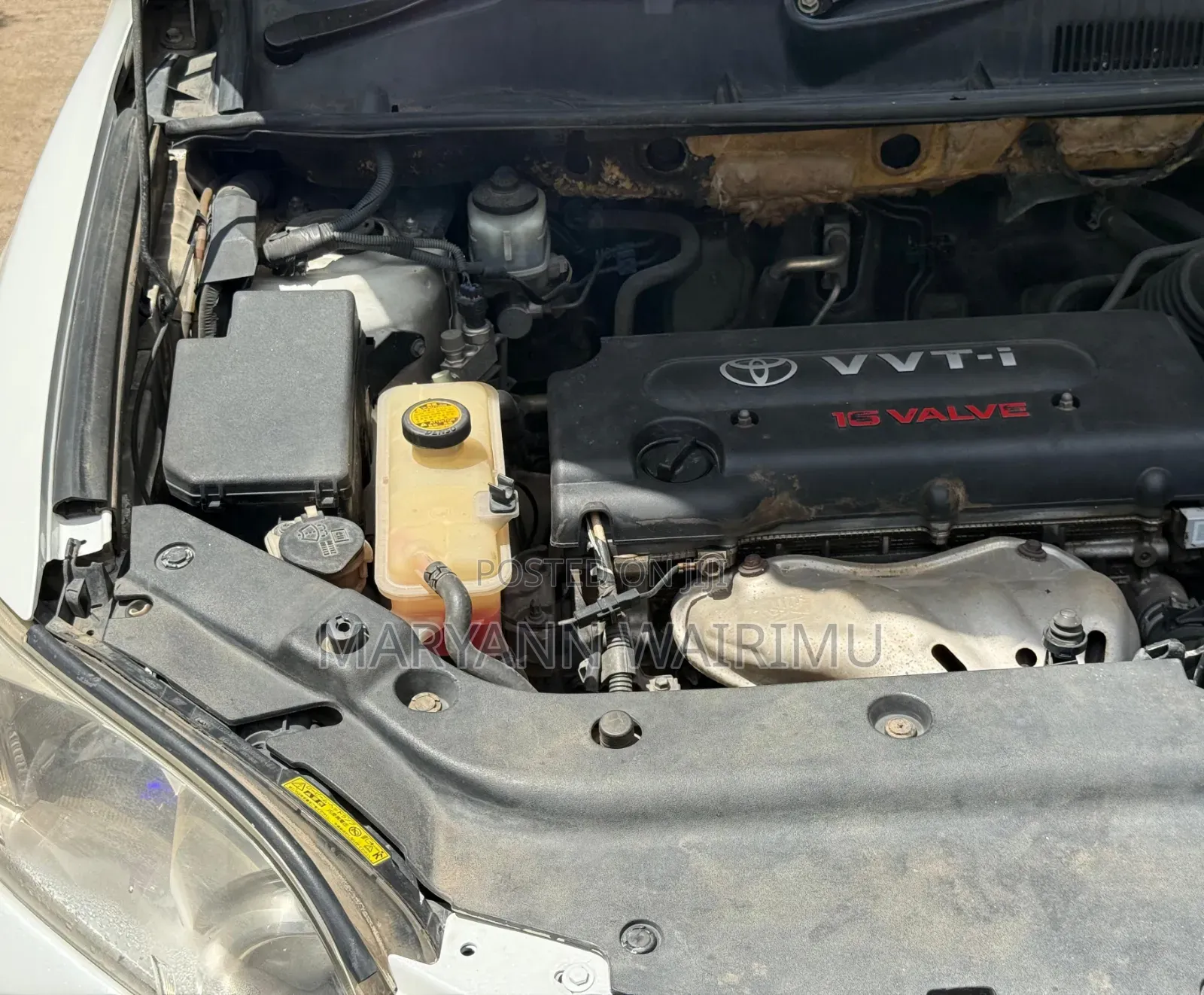 Toyota Vanguard 2010 White