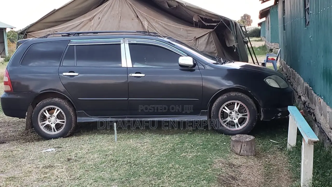 Toyota Corolla Fielder 2001 Black