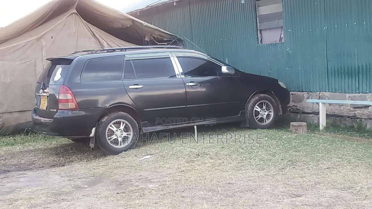 Toyota Corolla Fielder 2001 Black