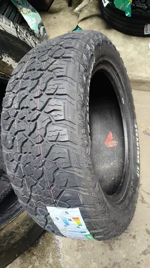 265/55r19 Greenlander Tyre Alltrein