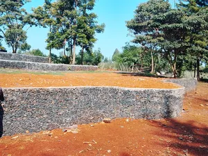 Stone Pinched Walls and Landscaping