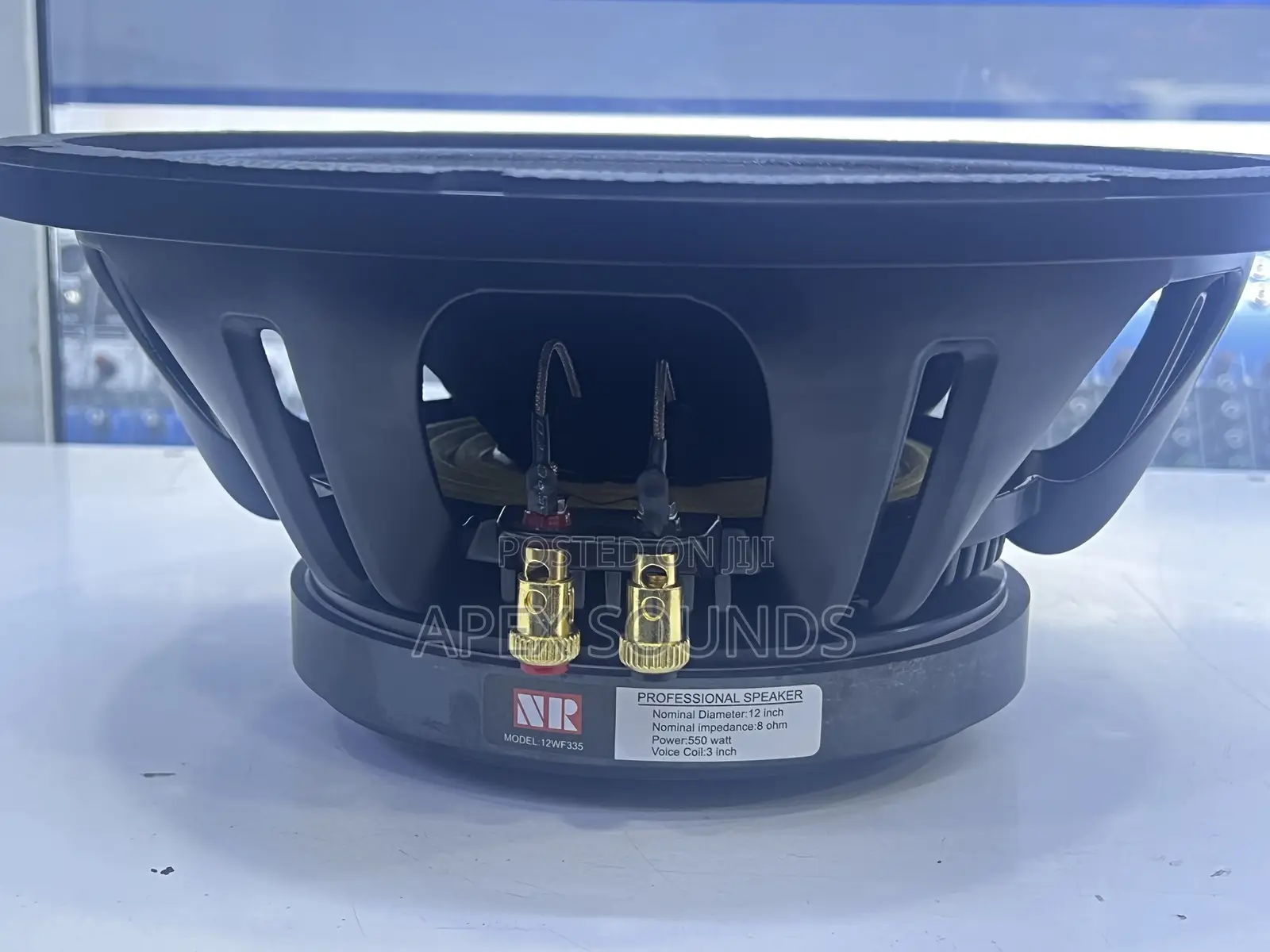 NR 12 NAKADE Speaker