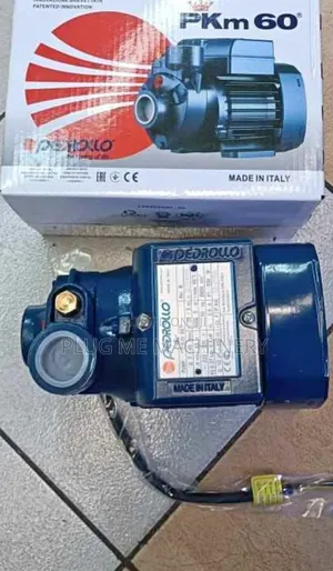 Original 1hp Pedrollo Water Pump/New Italy Booster Pump Available