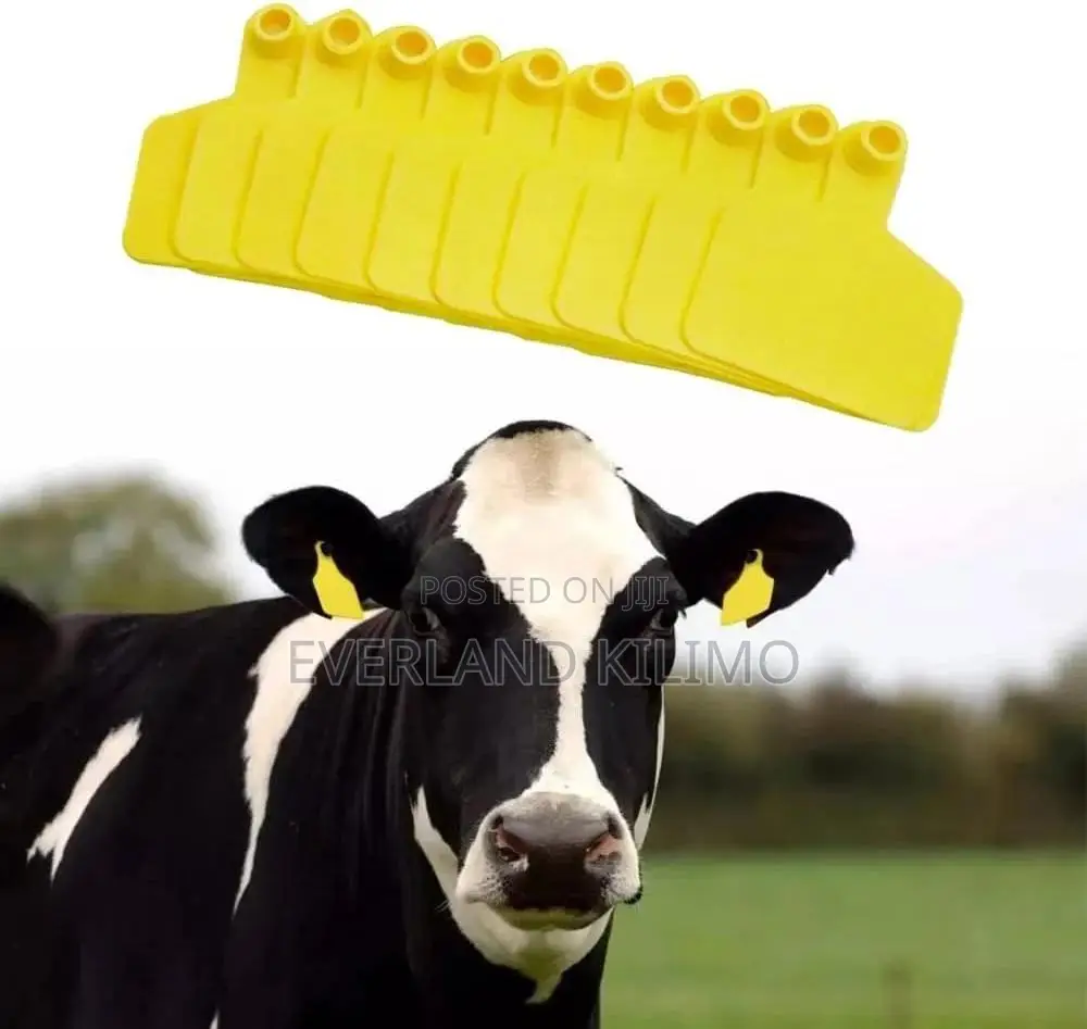 Cattle Record Reference Medium Ear Tags -Plain