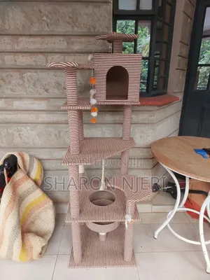 Cat Tree Slightly Used for Sale