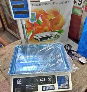 Rechargeable Commercial 30kg Weighing Scale Machine