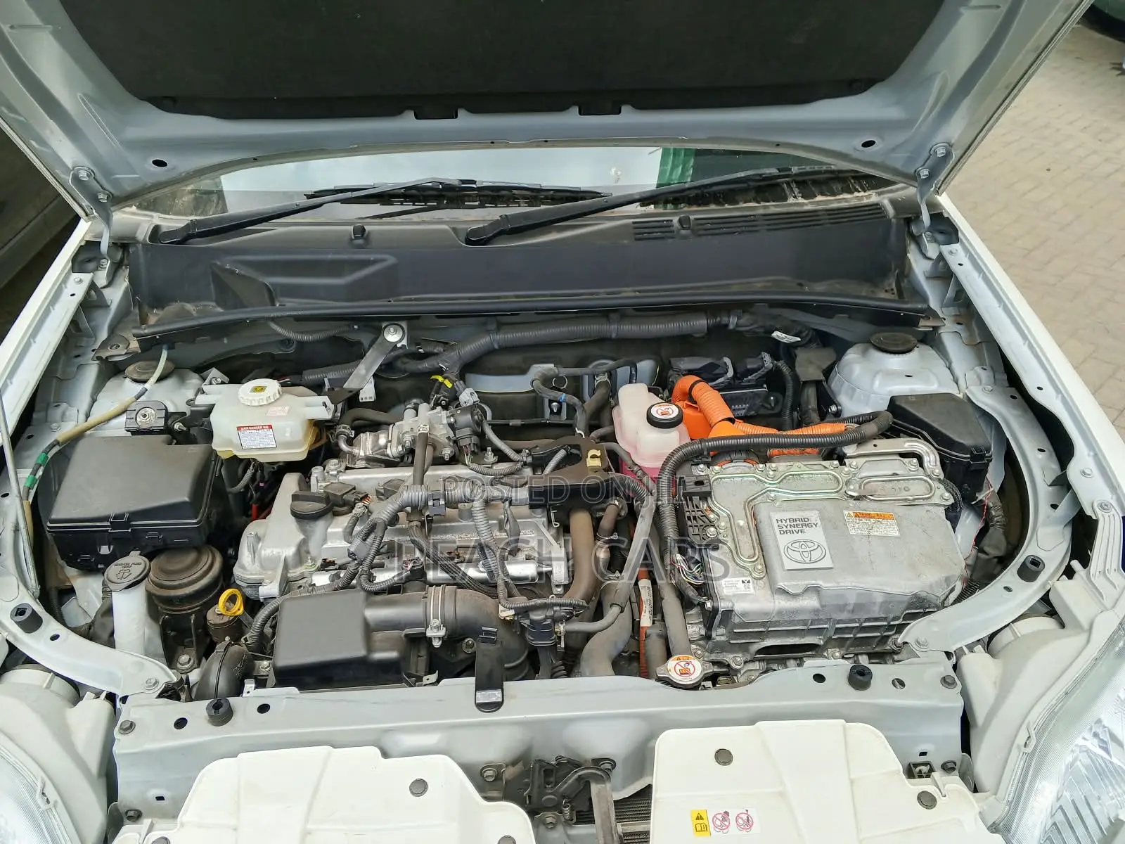 Toyota Succeed 2019 White