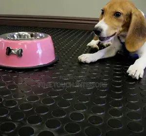 Pet Friendly Coin Carpets