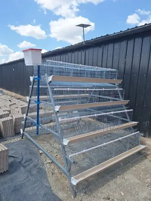 Chicken Cages