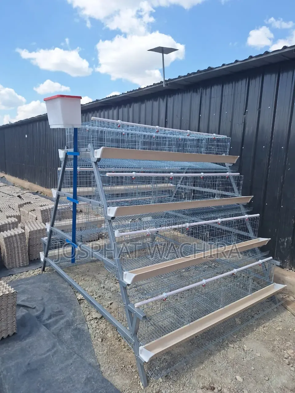 Chicken Cages