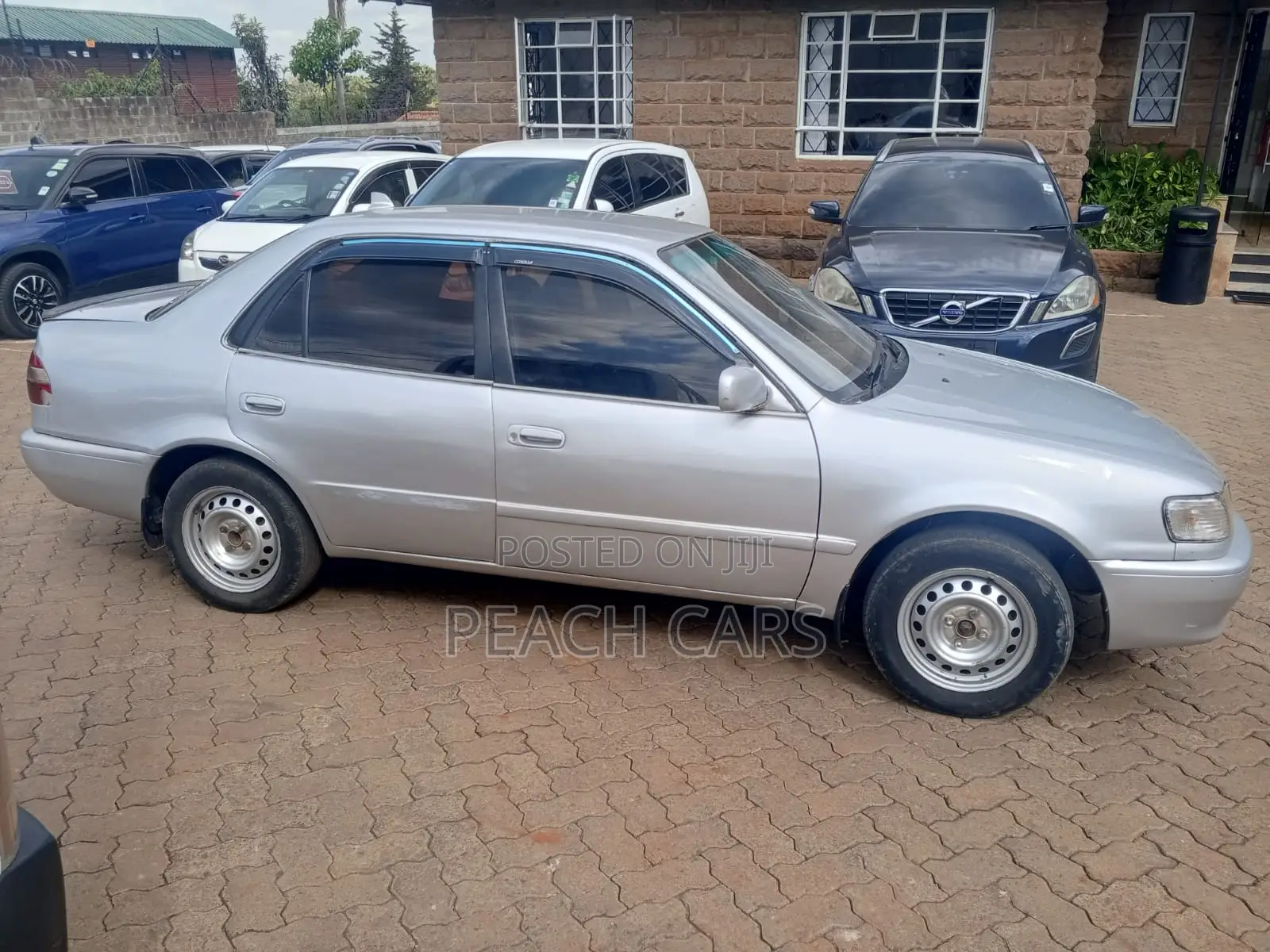 Toyota Corolla 1998 Gray