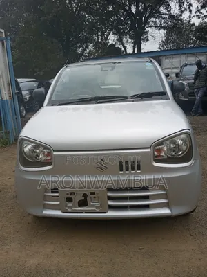 Suzuki Alto 2019 Silver