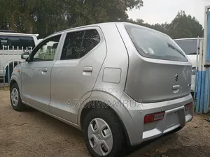 Suzuki Alto 2019 Silver