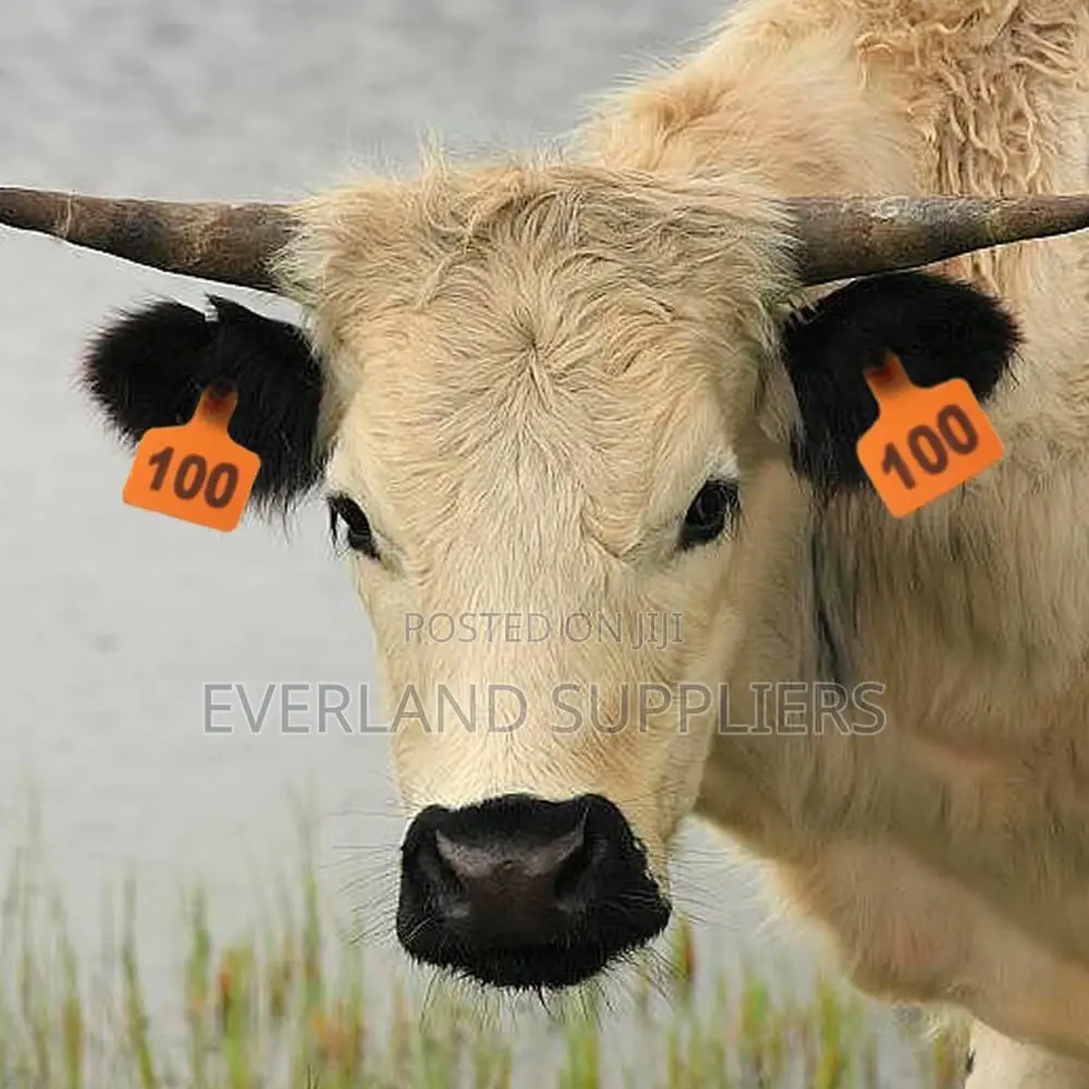Large Numbered Livestock Data Ear Tags