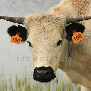 Large Numbered Livestock Data Ear Tags