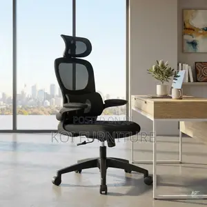 Office Chairs; Orthopedic Executive Seat With Flip Up Down Armrests