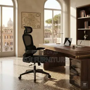 Office Chairs; Orthopedic Executive Seat With Flip Up Down Armrests