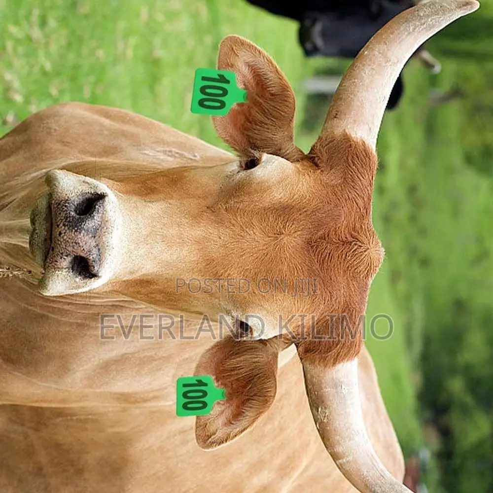 Precision Large Numbered Farm Ear Tags