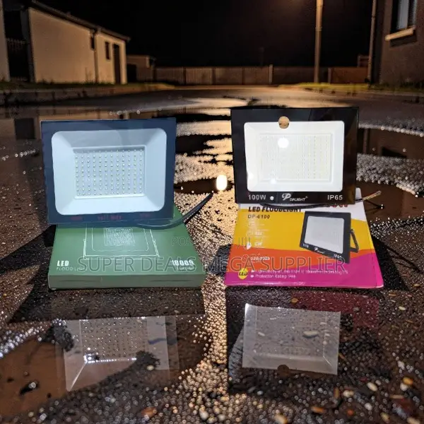 Direct Supplier Prices 100W Watts AC Electric LED Flood Lights