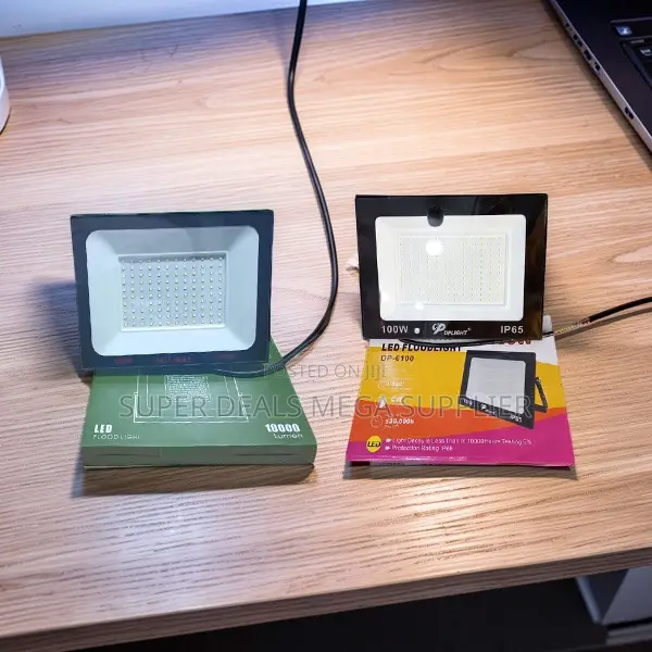 Exclusive Low Prices 100W Watts AC Electric LED Flood Lights