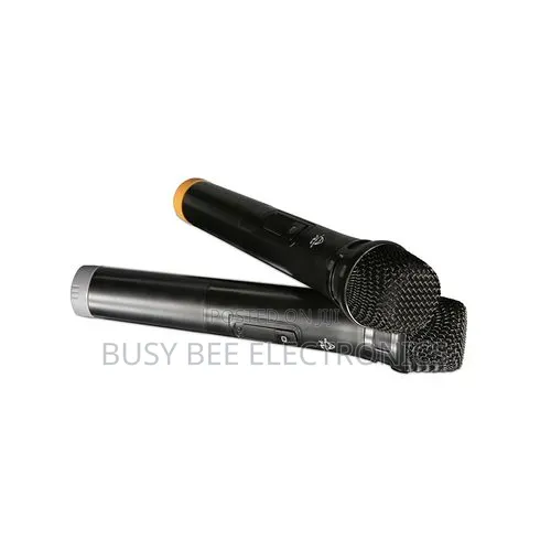 EZ-15A Portable Bluetooth Speaker With 2 Wireless Microphone