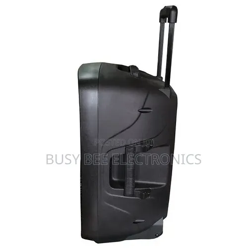 EZ-15A Portable Bluetooth Speaker With 2 Wireless Microphone