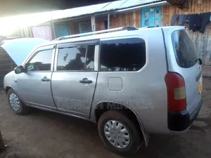 Toyota Probox 2007 Gray