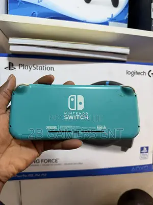 Nitendo Switch Lite