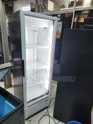 New Model Powerful Compressor Display Fridge