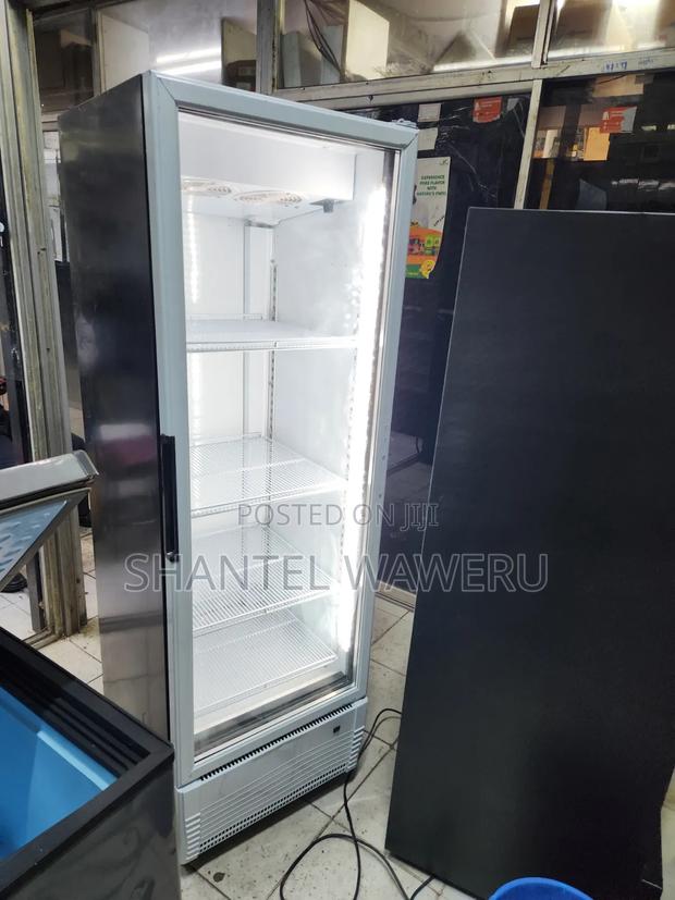 New Model Powerful Compressor Display Fridge - main view