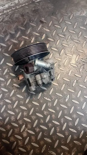 Powers Steering Pump Harrier 240g