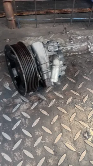 Powers Steering Pump Harrier 240g