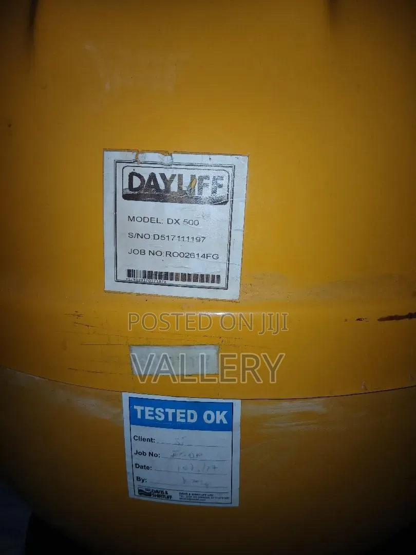 Dayliff Swimming Pool Pump – Almost New (Used Briefly)