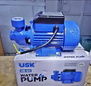 0.5 HP Electic Water Pump