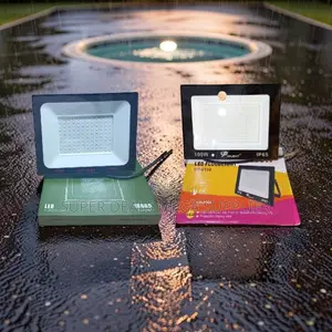 Unbeatable Prices Bright 100W Watts AC Electric LED Flood Lights