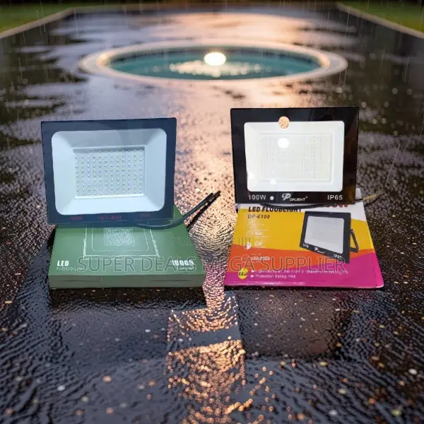 Unbeatable Prices Bright 100W Watts AC Electric LED Flood Lights