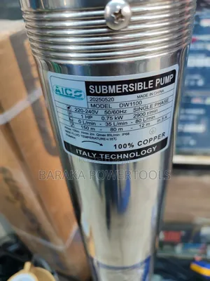 AICO DW1100 Stainless-Steel Submersible Water Pump.