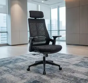 Office Chair : Black Ergonomic Orthopedic Chair